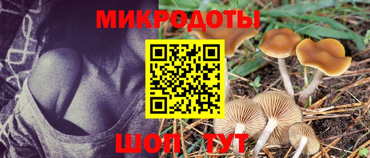 Галлюциногенные грибы Psilocybine cubensis  Псилоцибиновые грибы ЛСД  Вход с VPN  Луга 