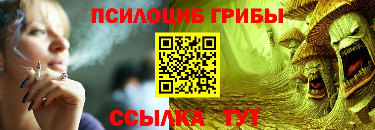 Псилоцибиновые грибы MAGIC MUSHROOMS Луга
